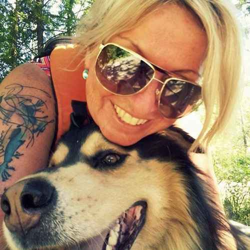 website designers in new liskeard